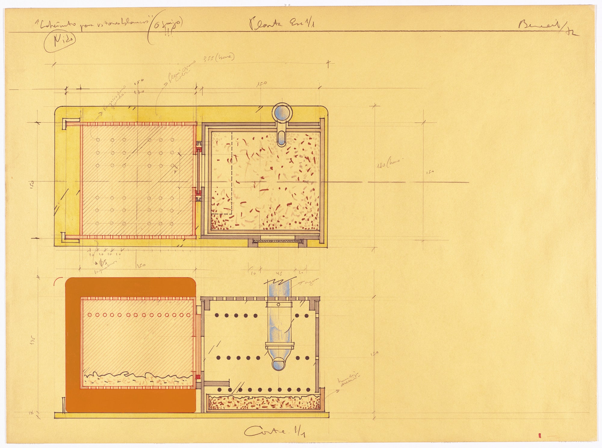 Study for Labyrinth for White Mice