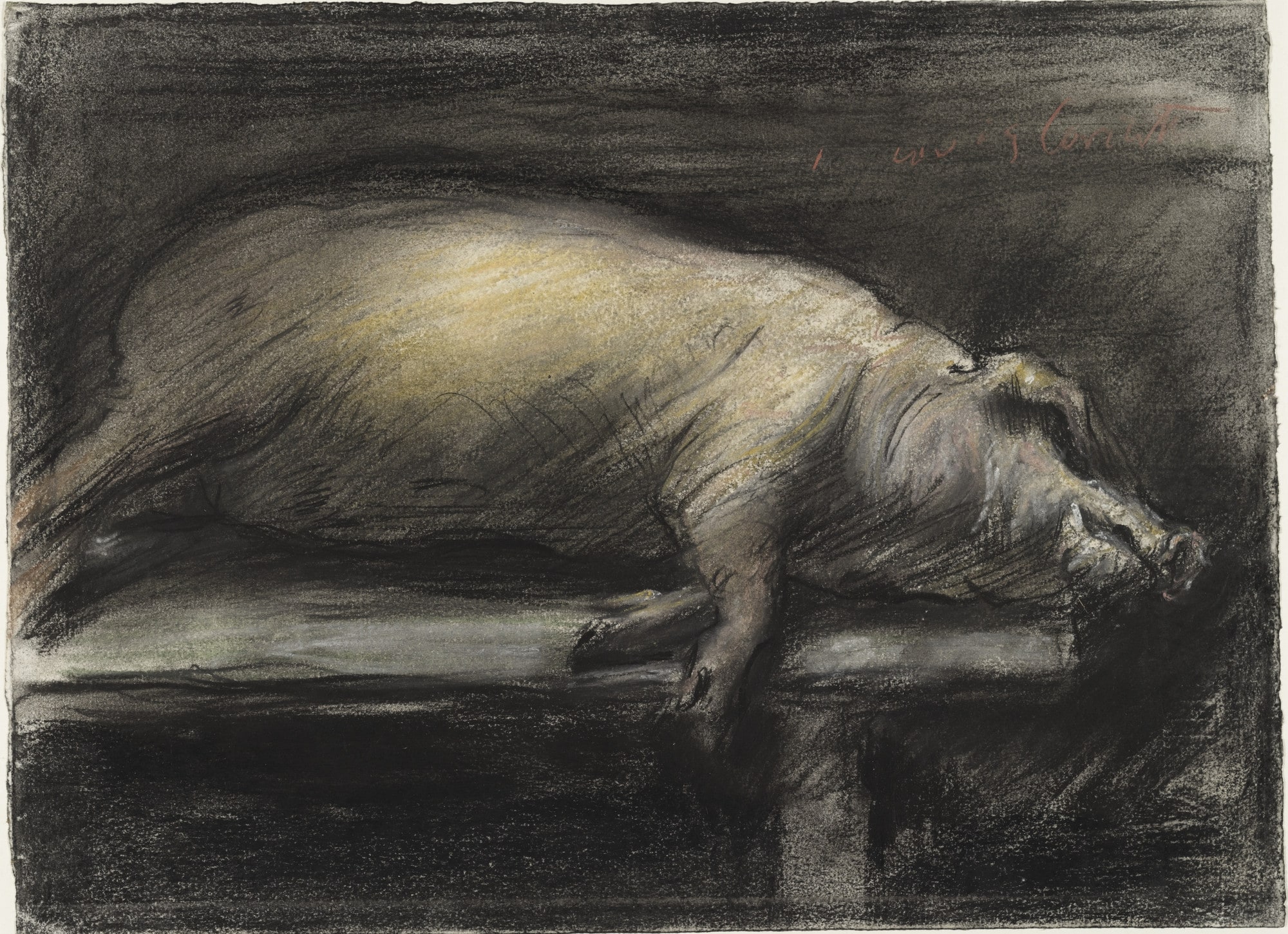 Slaughtered Pig (Geschlachtetes Schwein)