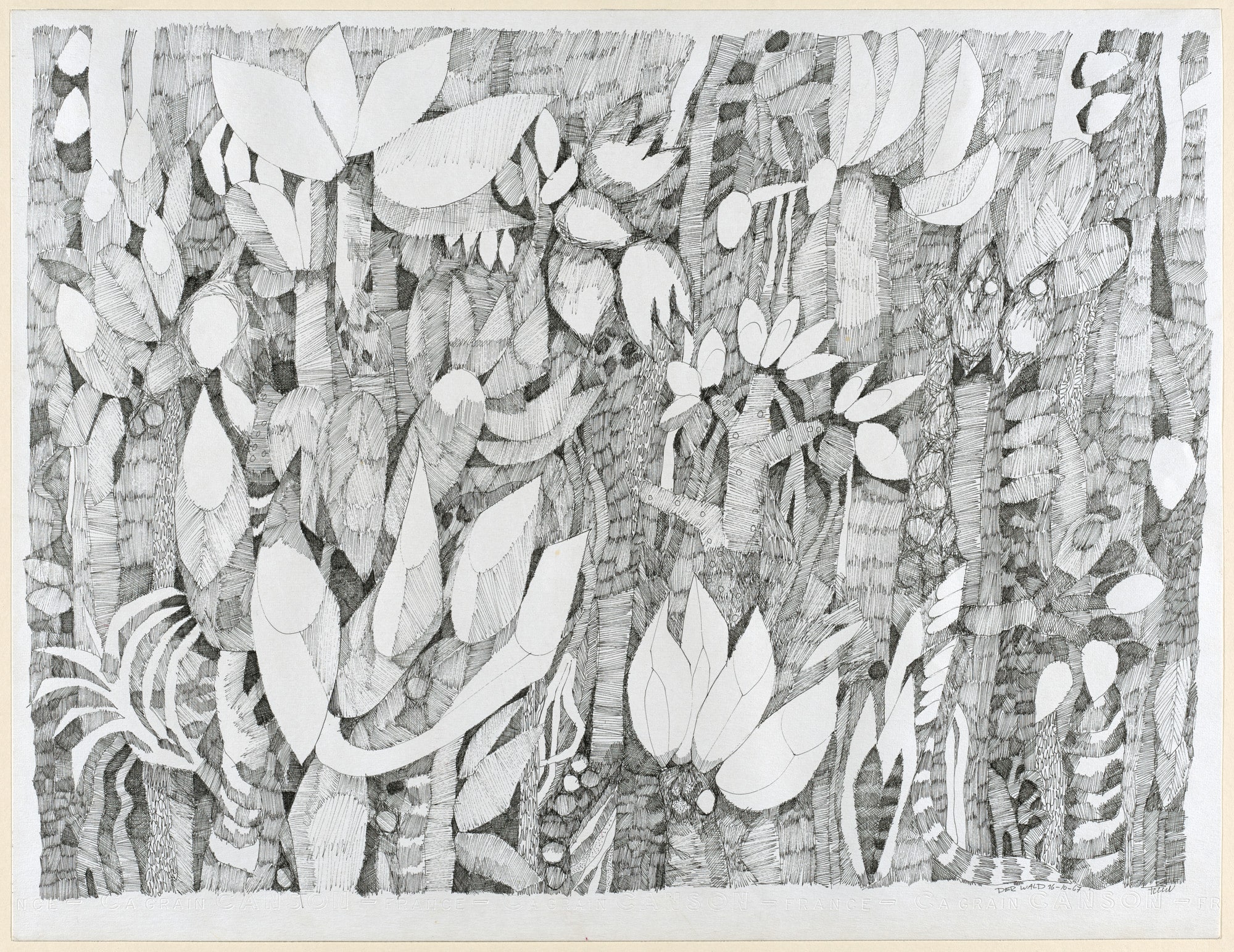The Forest