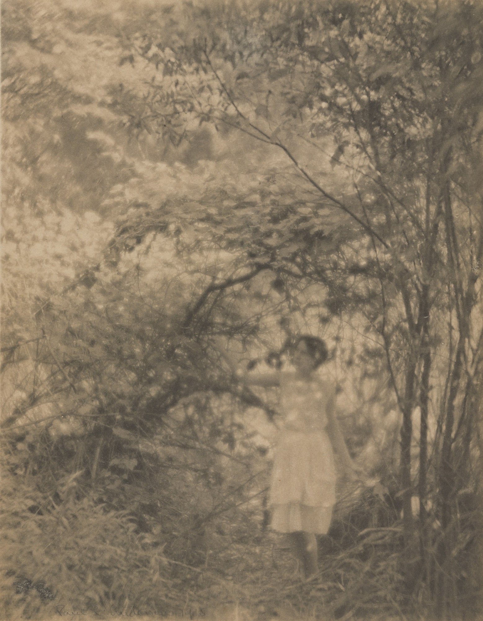 Lady in Woods