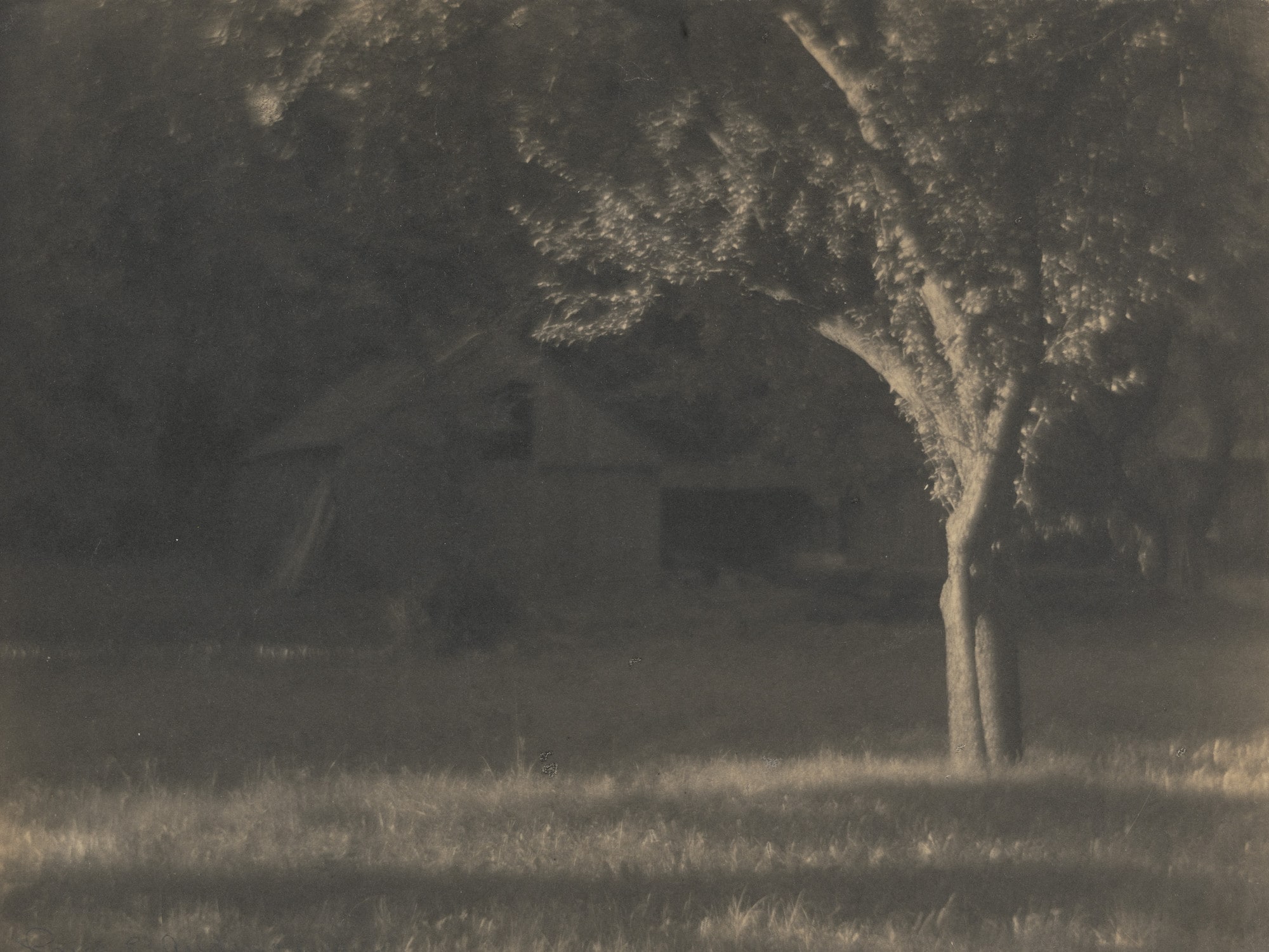 Evening Sunlight, East Canaan