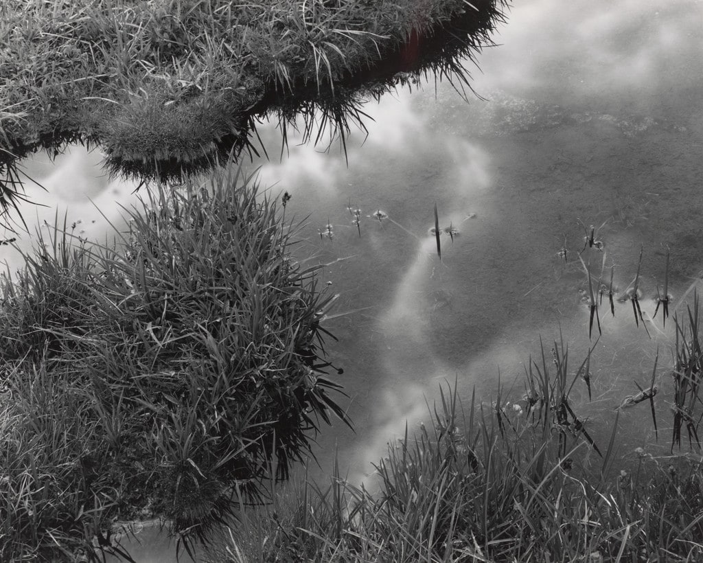 Shoreline, High Sierra