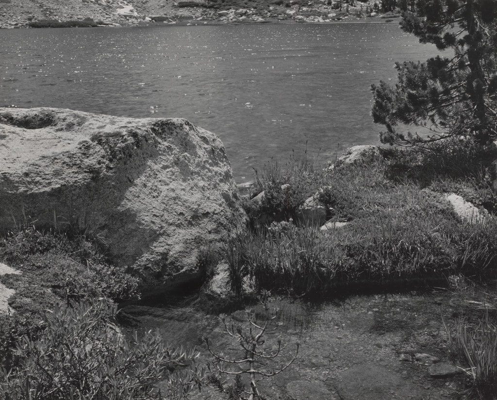 Young Lake