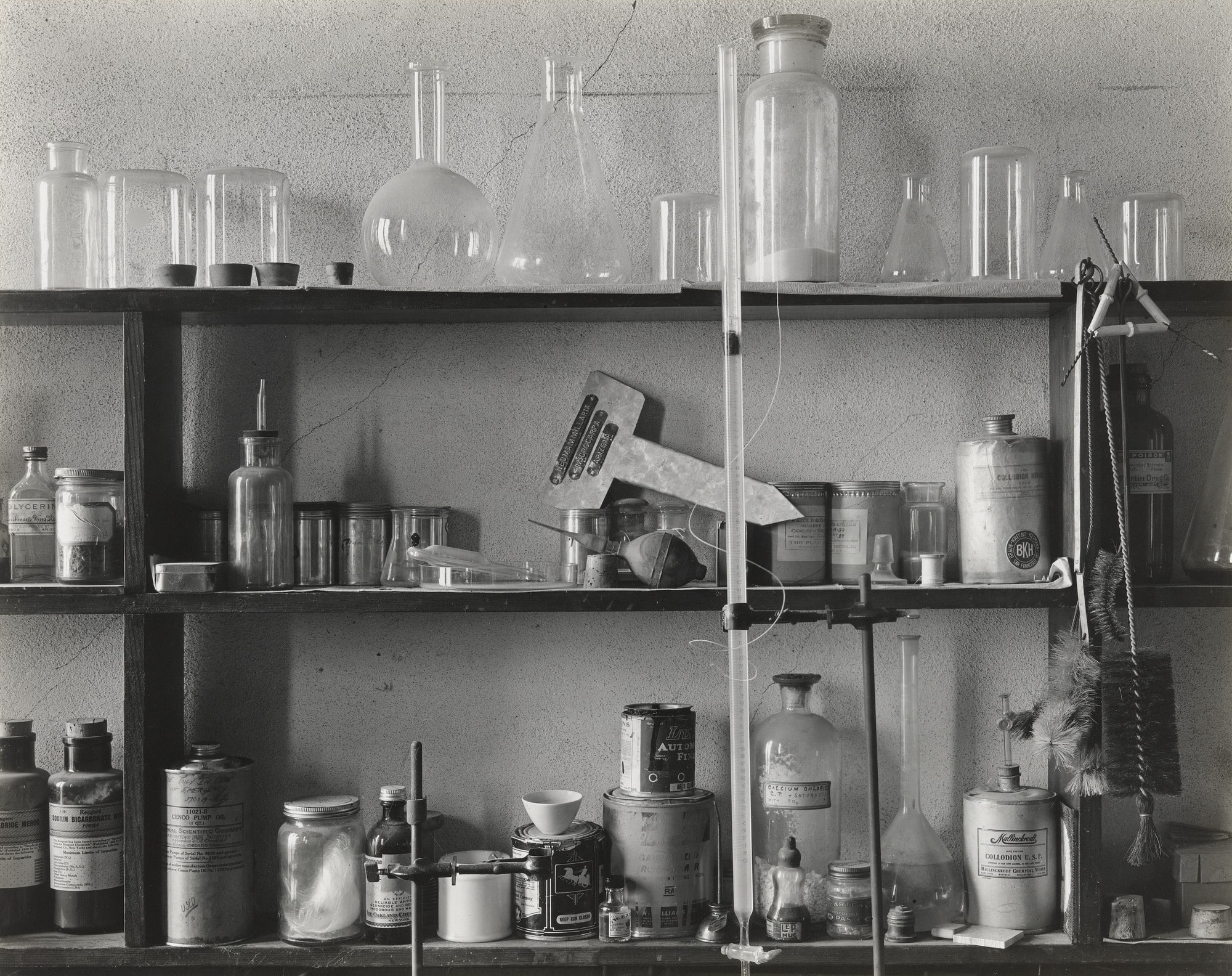 Still Life in a Laboratory
