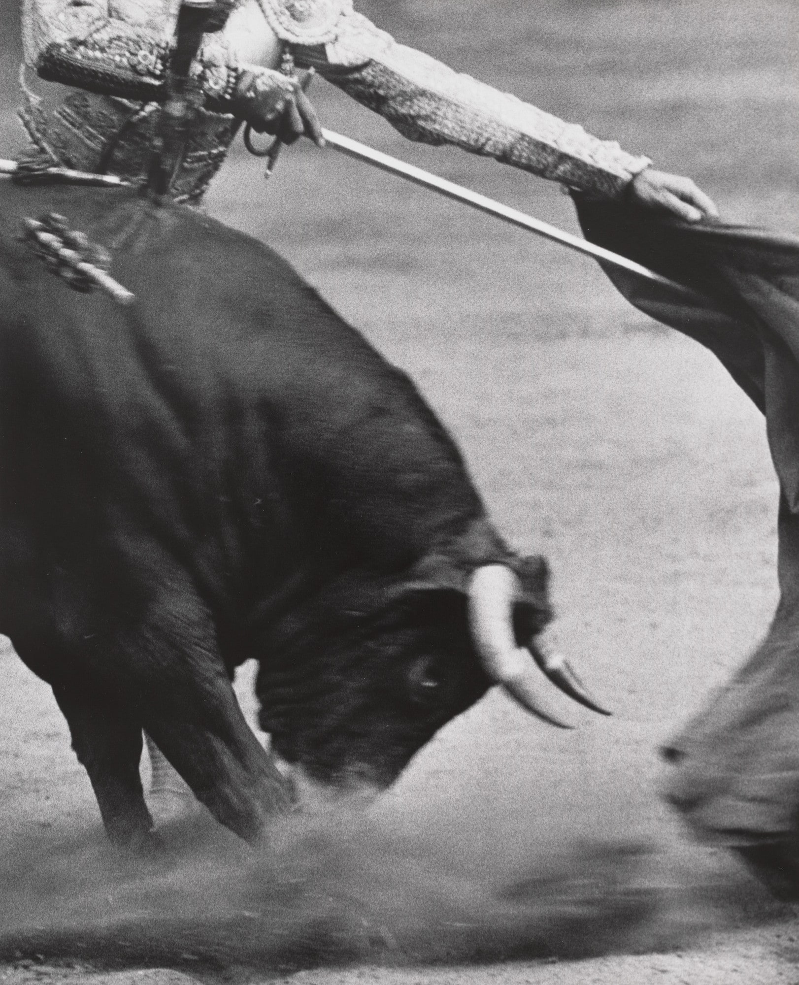 The Bull Attacks, Bilbao