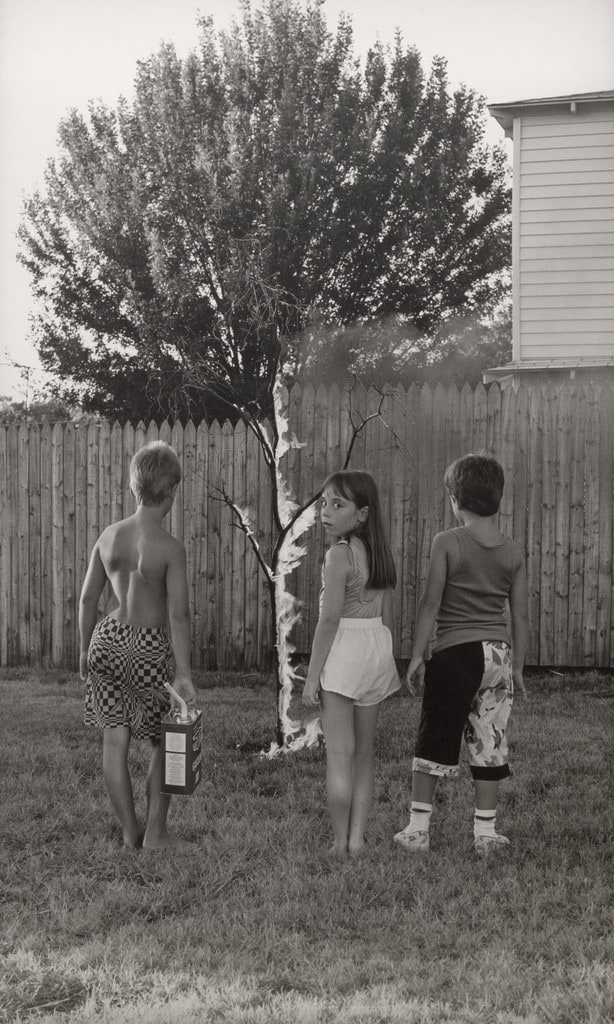 Real Pictures #11