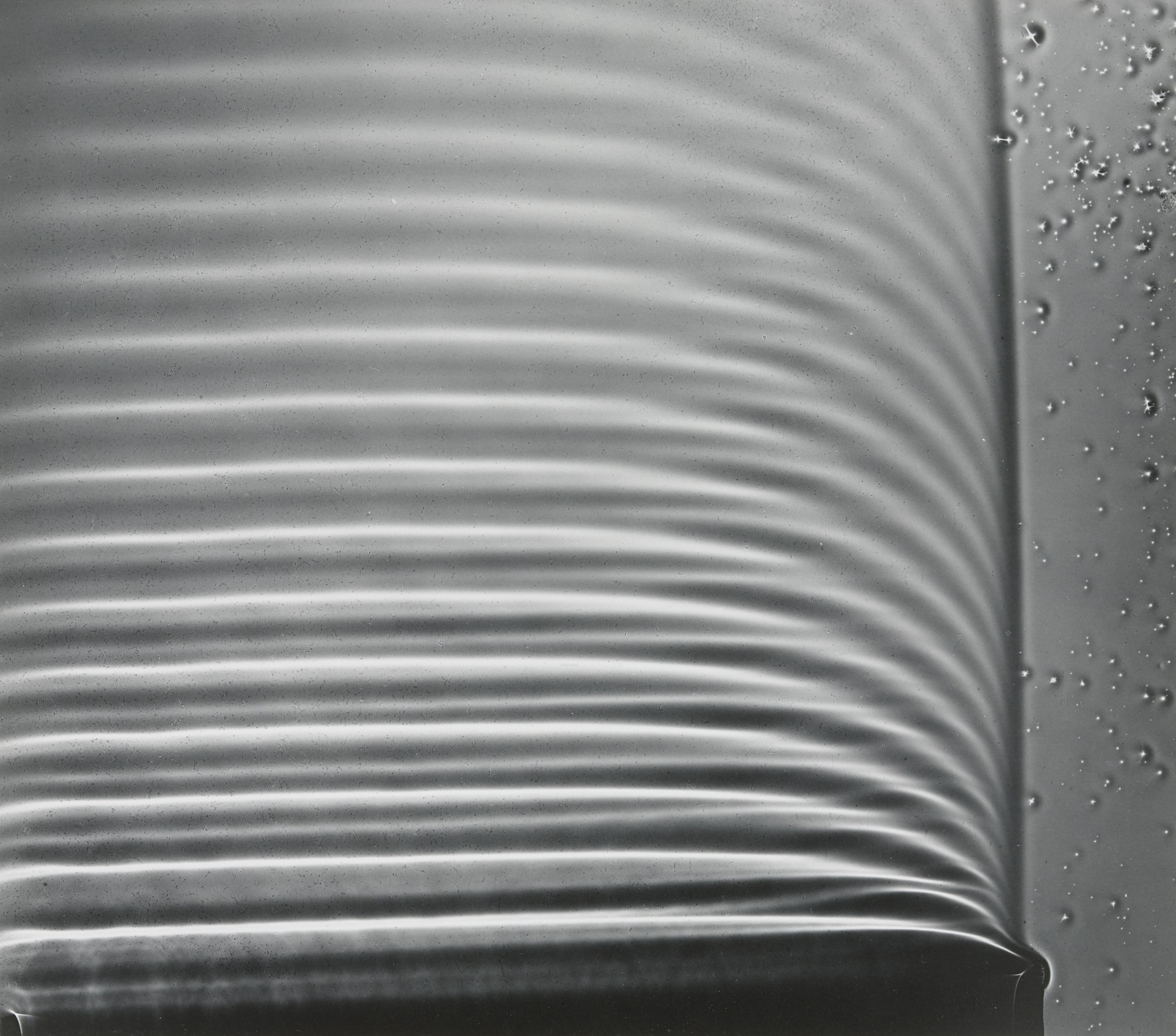 Photogram: Wave Pattern, MIT