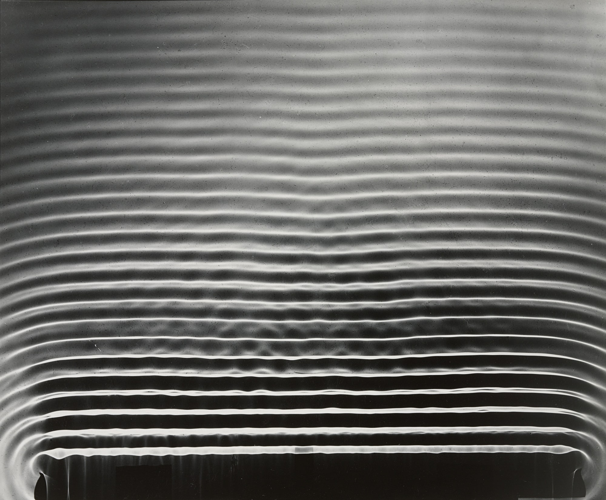 Photogram: Wave Pattern, MIT