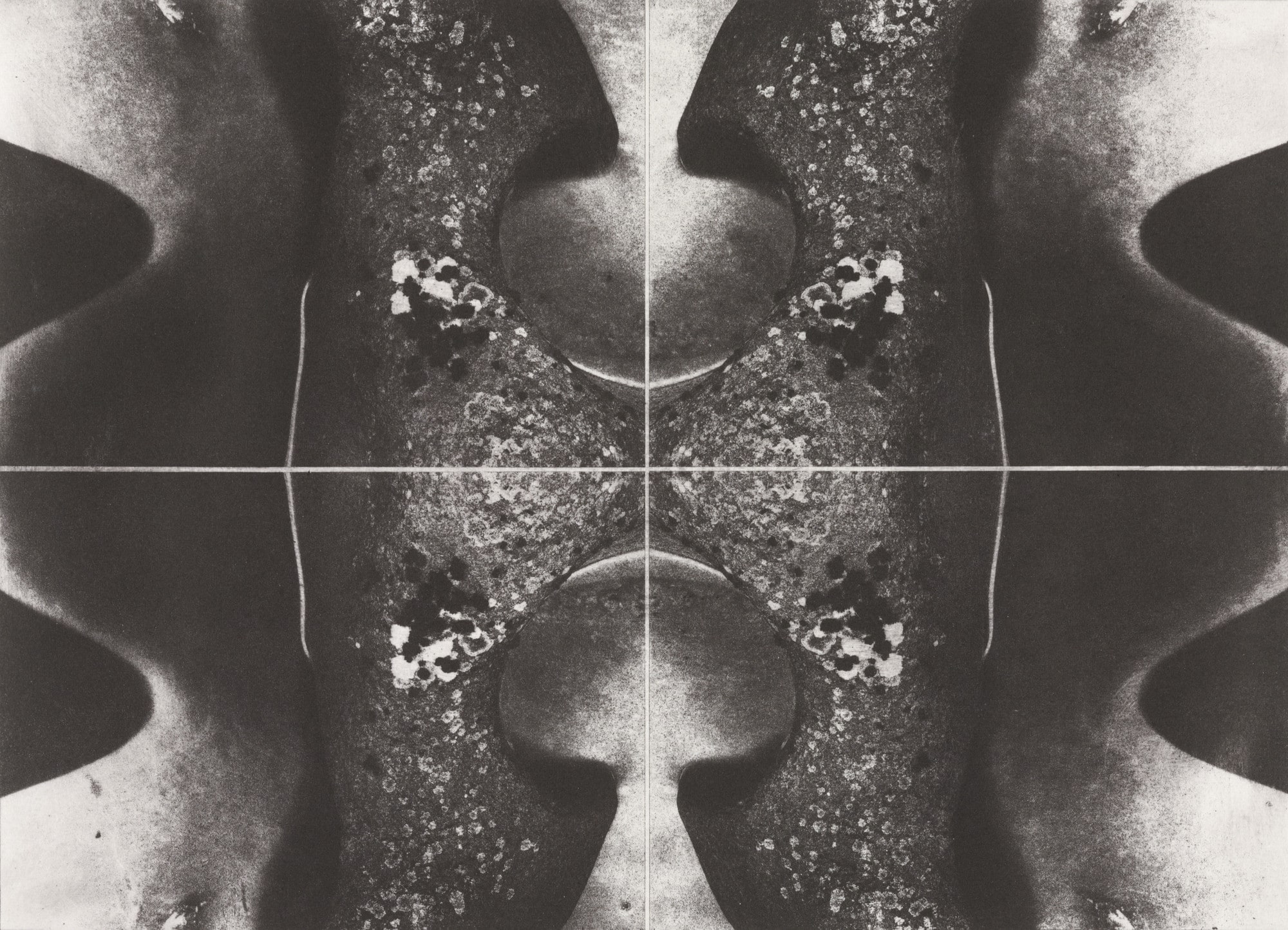 Untitled from the series The Grottoes