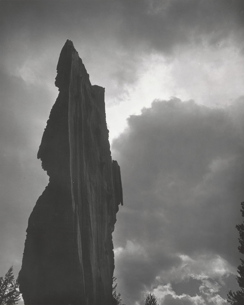 Lightning-Burned Stump, High Sierra