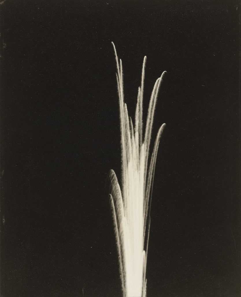 Leaf Form
