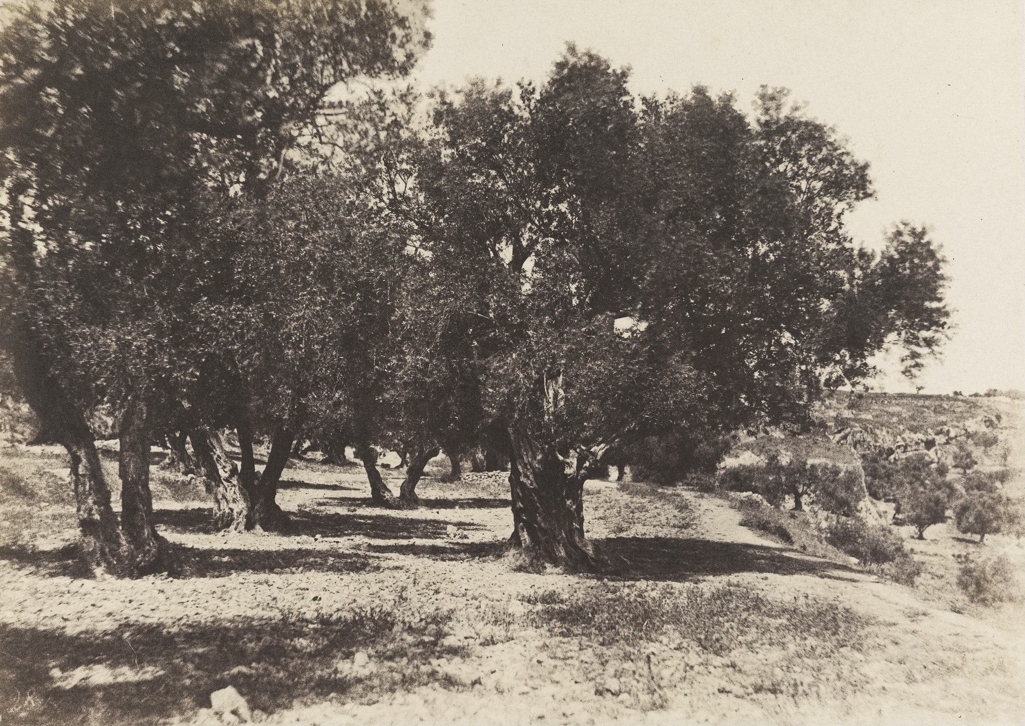 Champ du Sang, Jerusalem