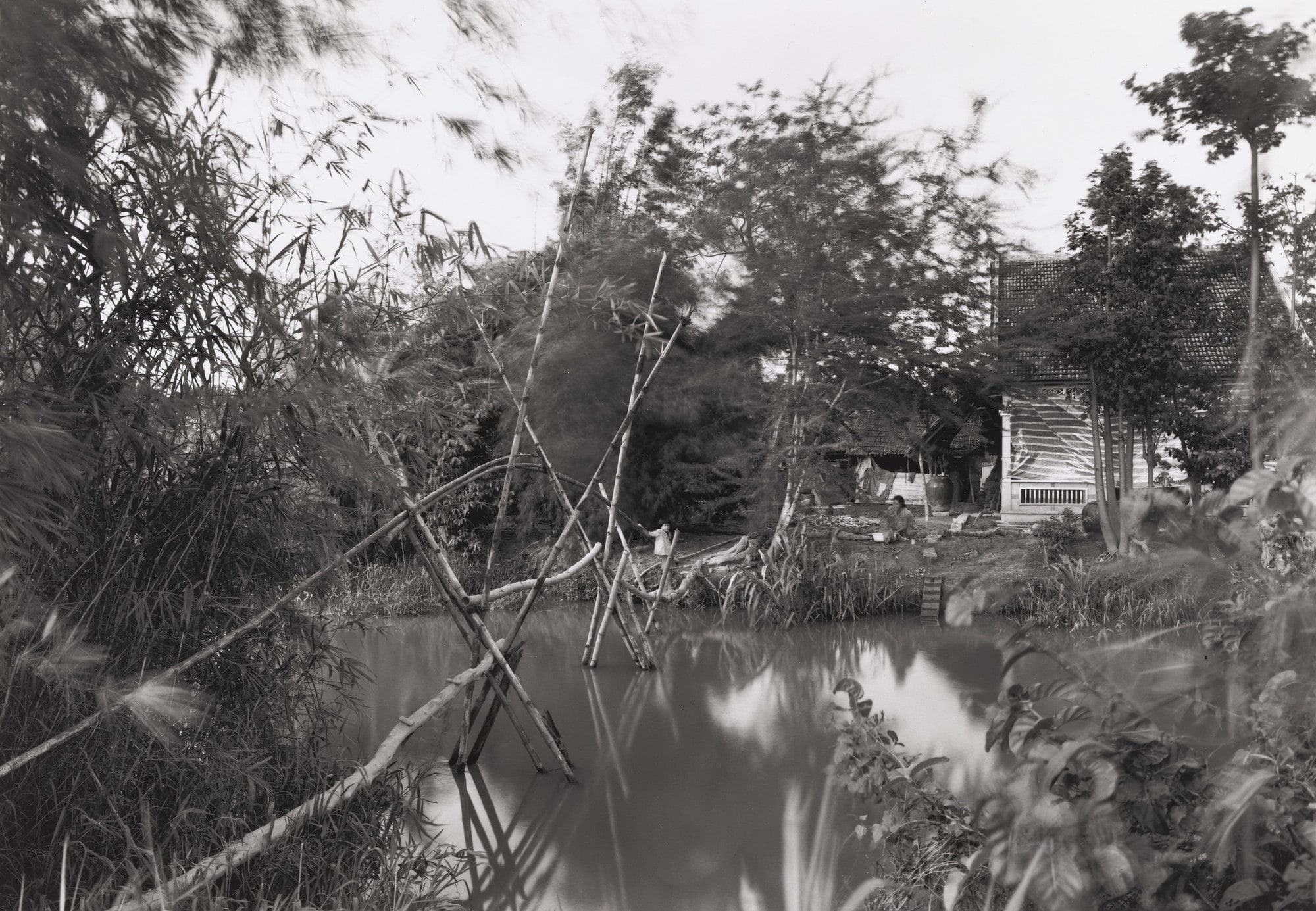 Untitled, Mekong Delta