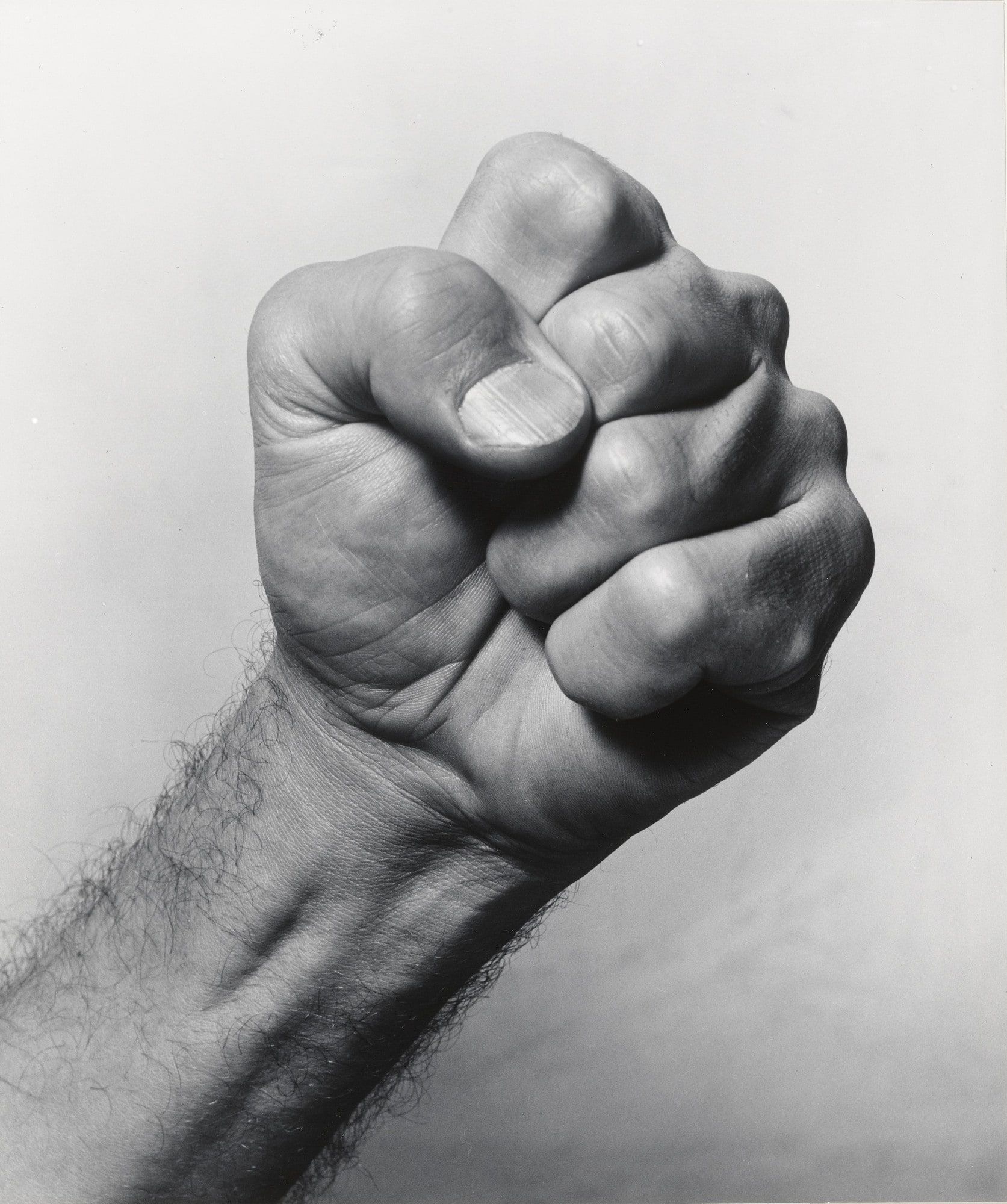 Willard's Fist