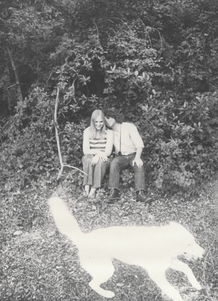 Diane, Steve and Honey