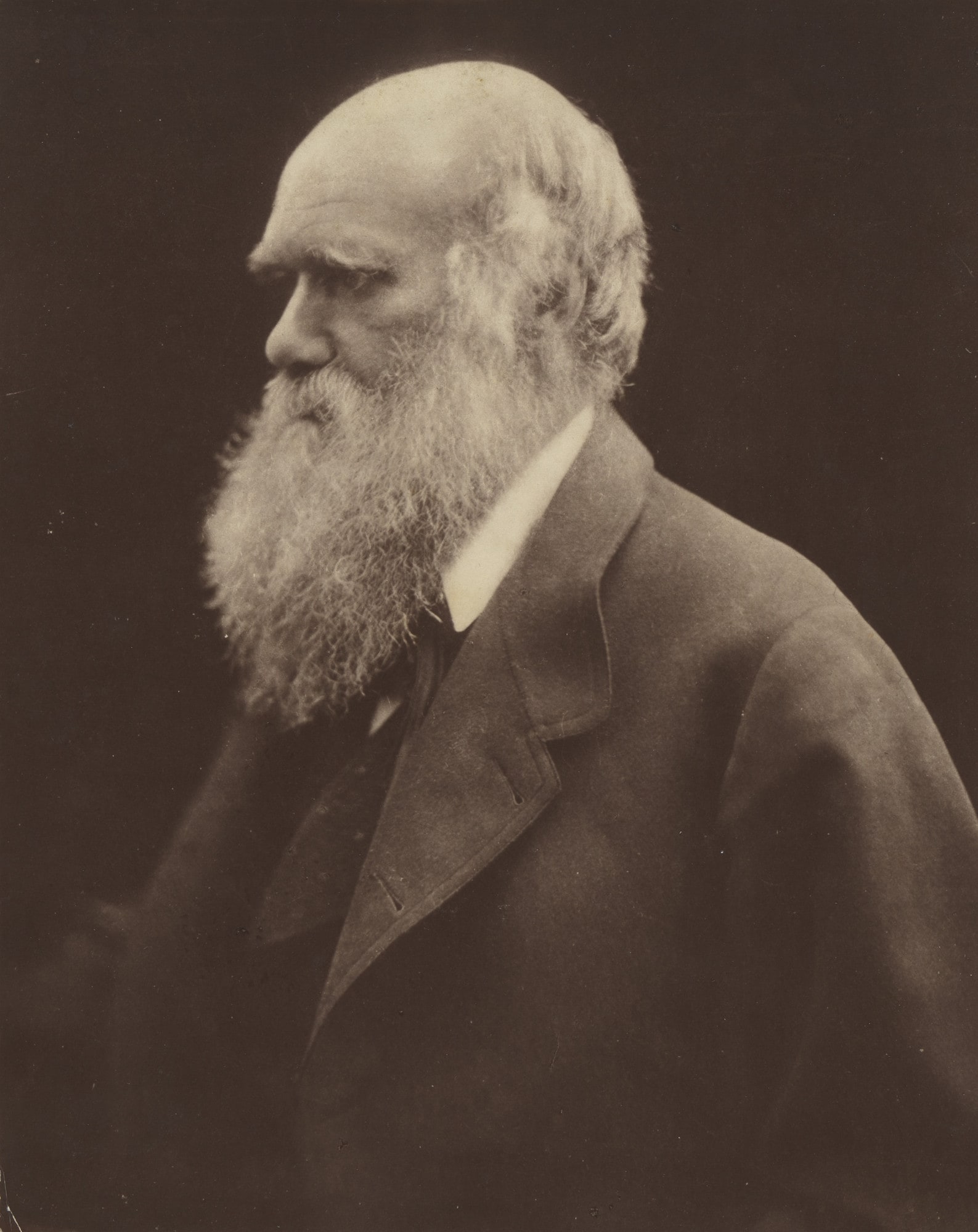 Charles Darwin