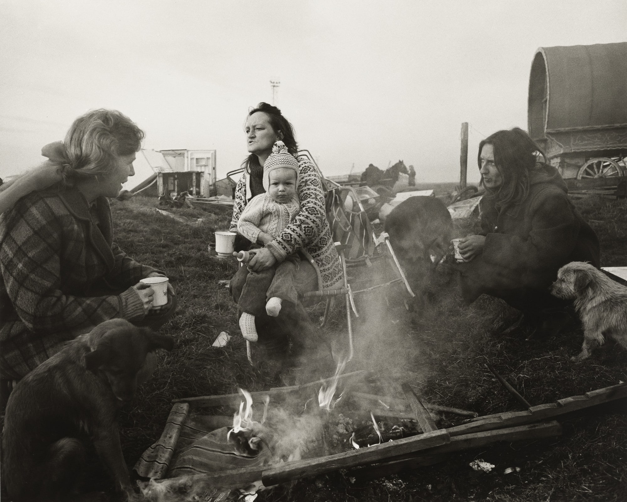 Sea Coal Camp