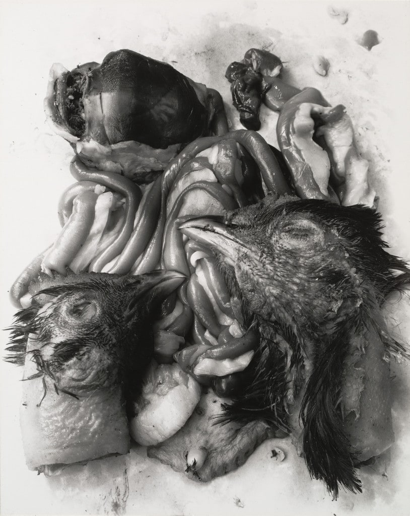 Still Life