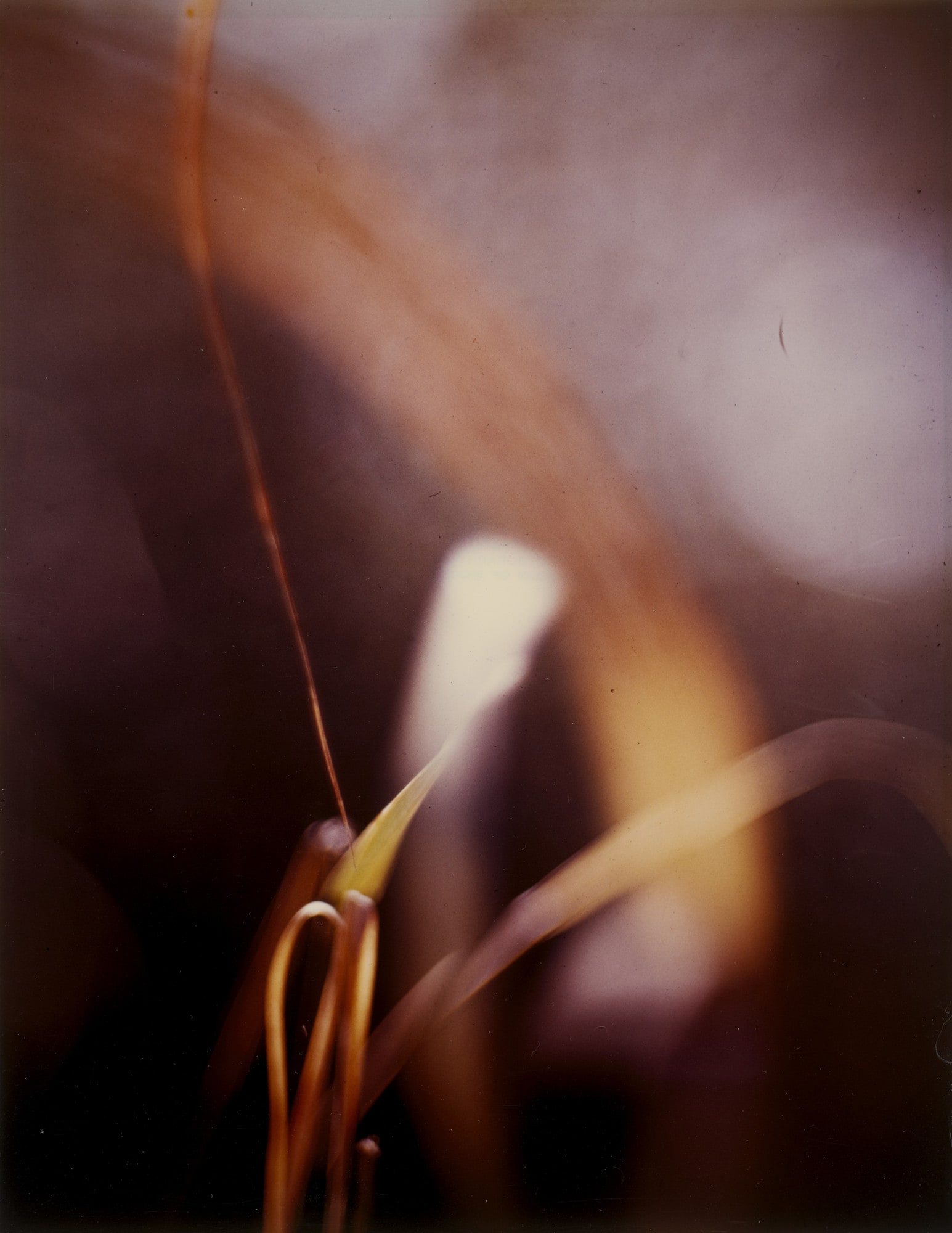 Abstraction