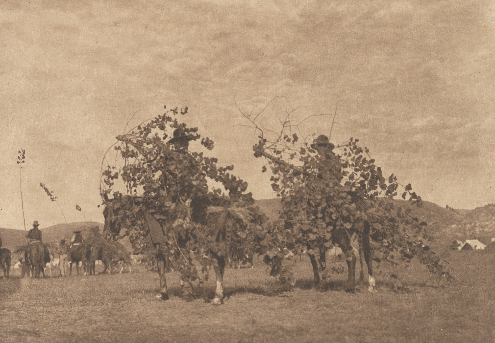 Boughs for the Alter, Cheyenne