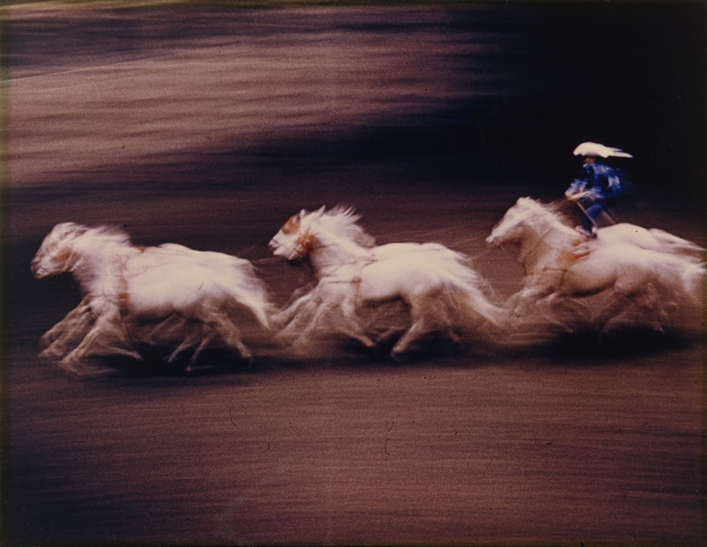 White Horses
