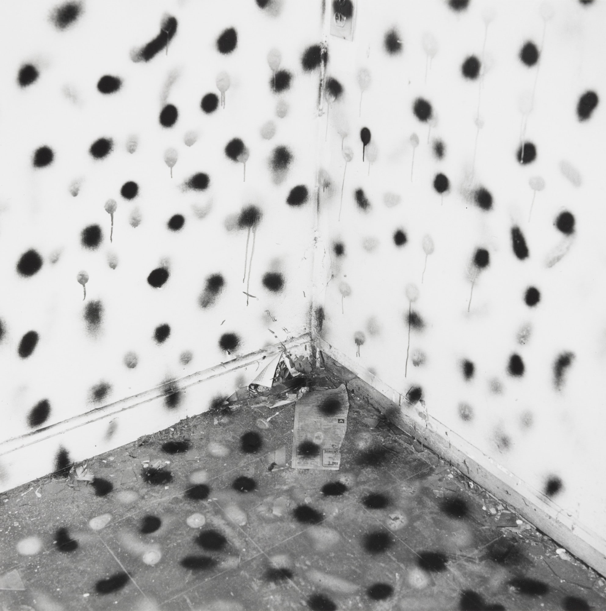 Untitled from the series Vandalism