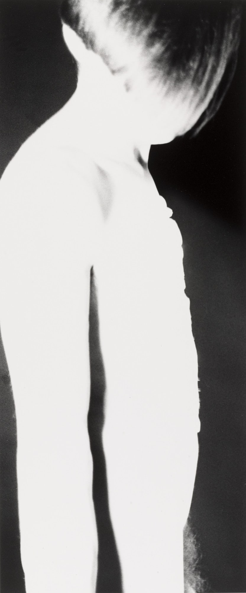 Male Nude, Third Series