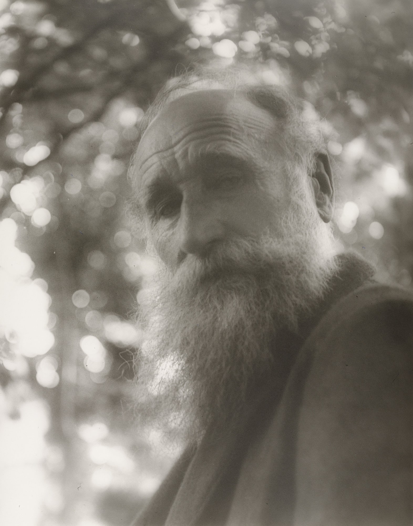 Aristide Maillol, Marly-le-Roi