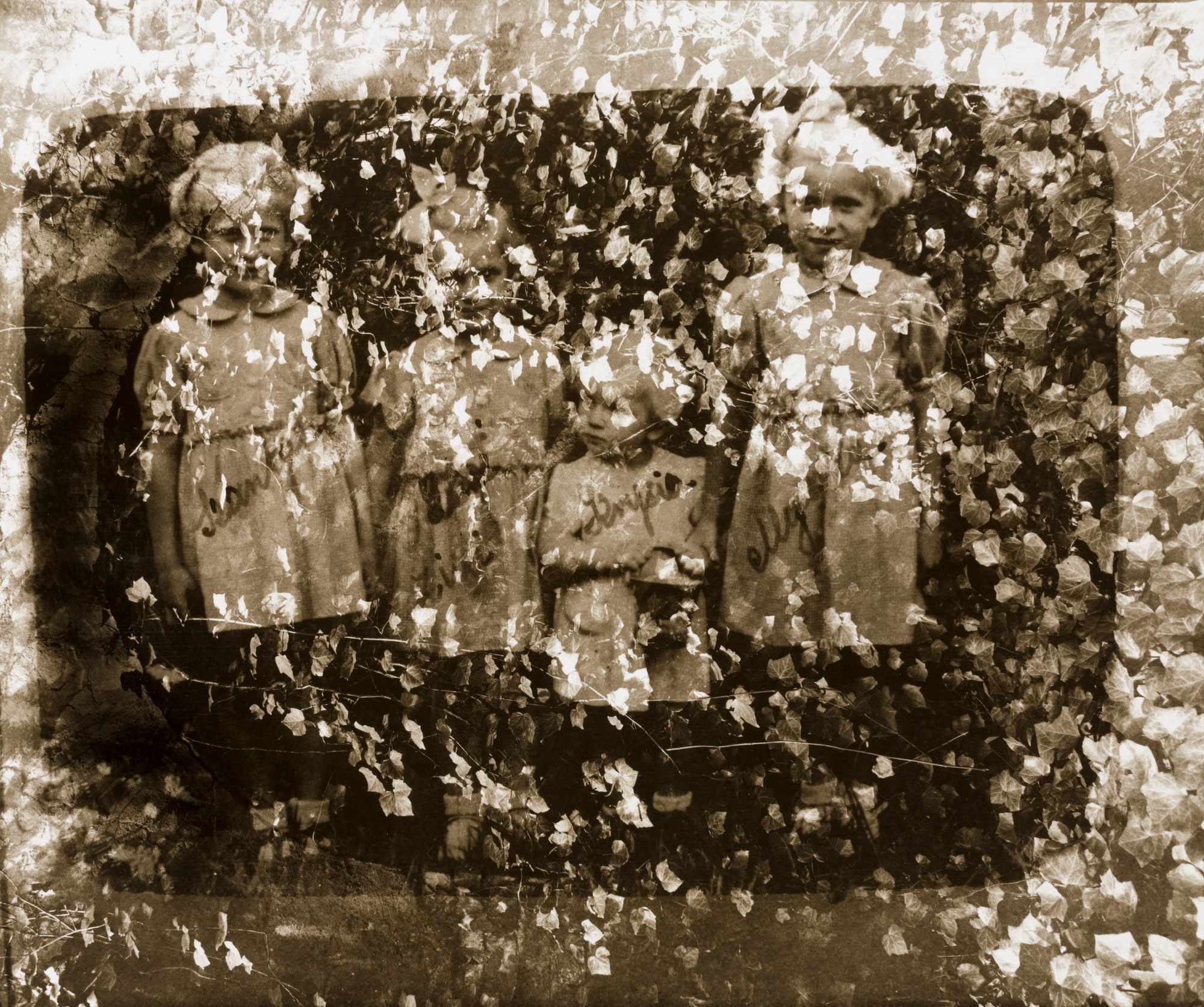 Black Garden
