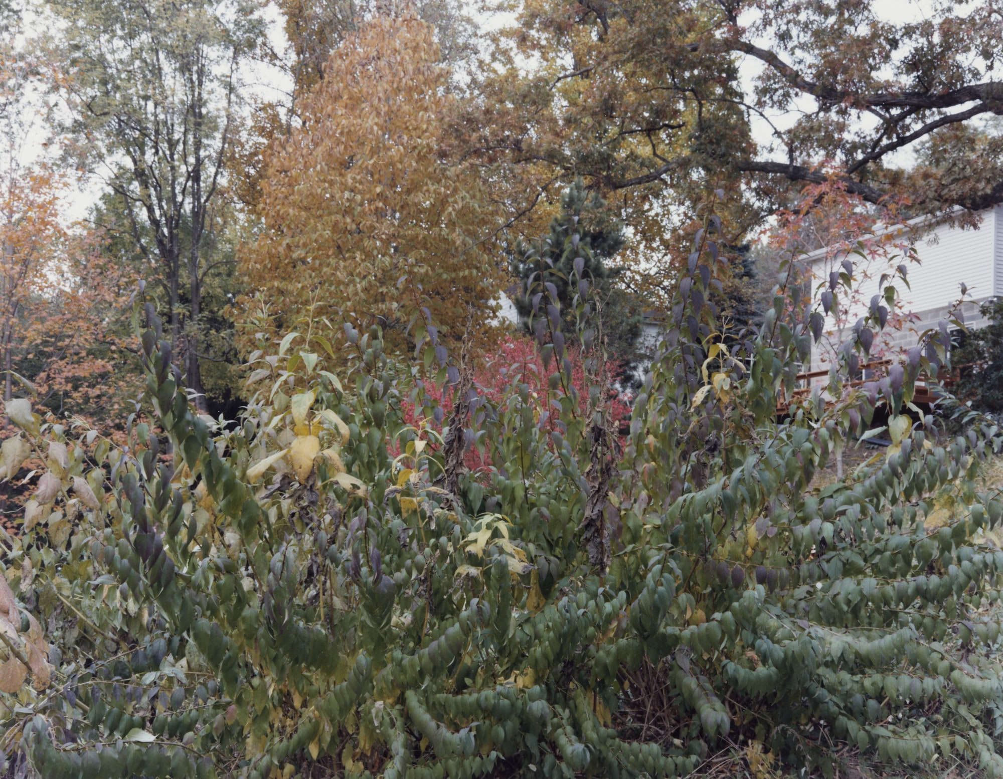Autumn, Athens, Ohio