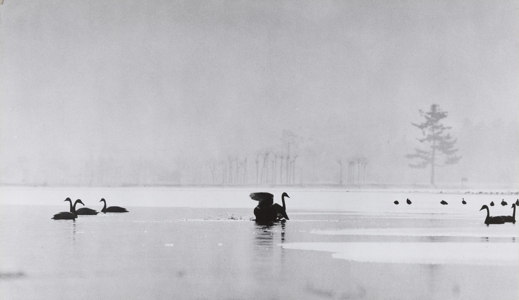 The Snow Lake