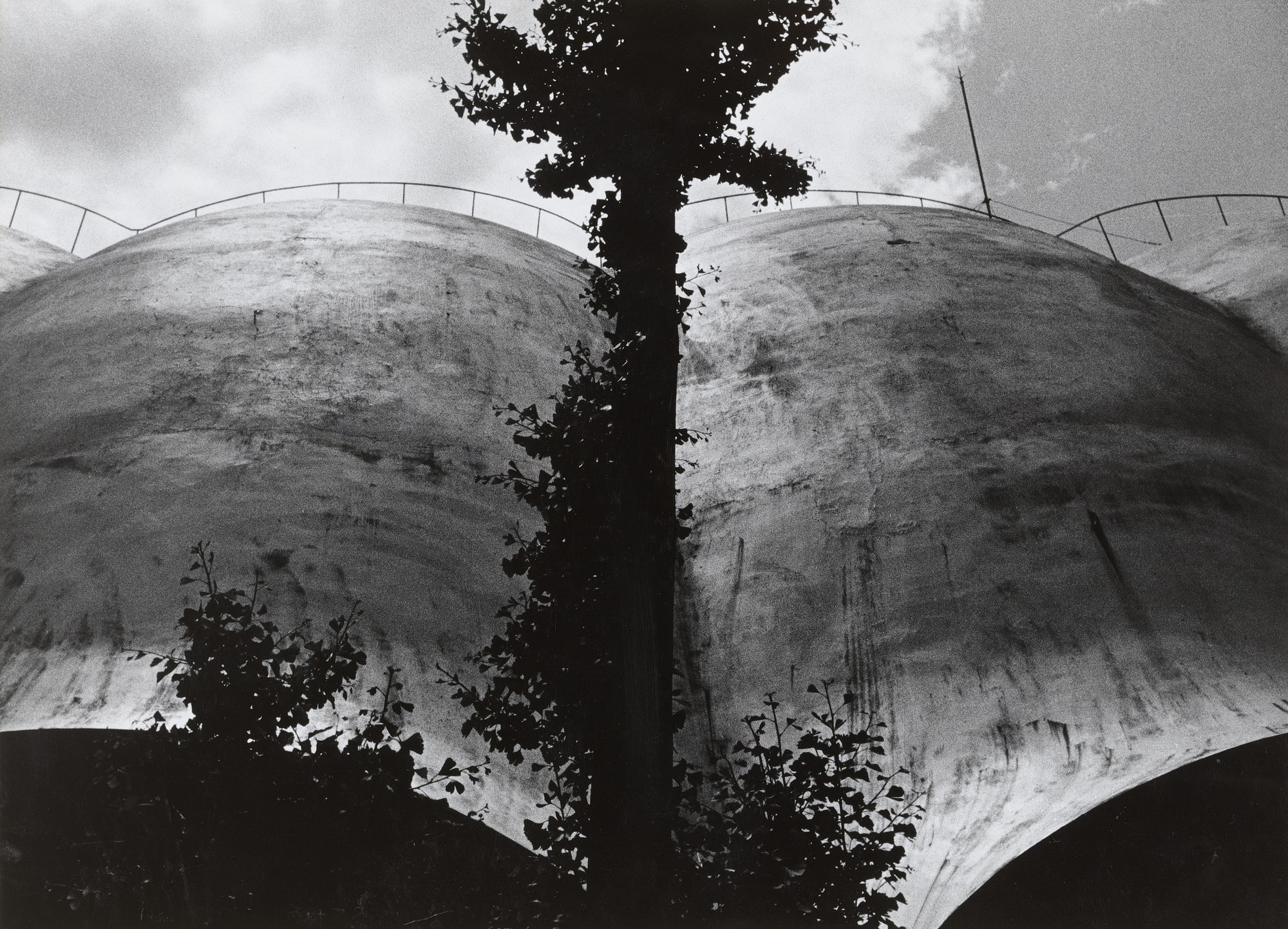 Dome