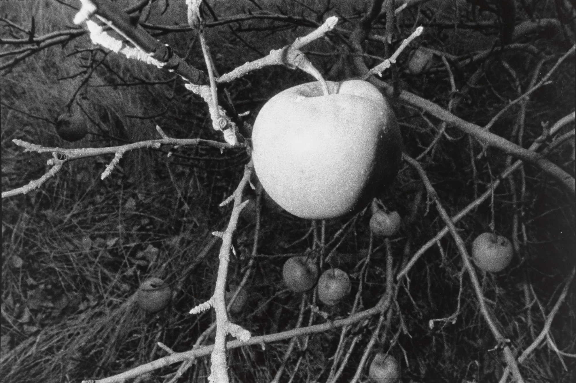 Untitled (Larksville, Pennsylvania)