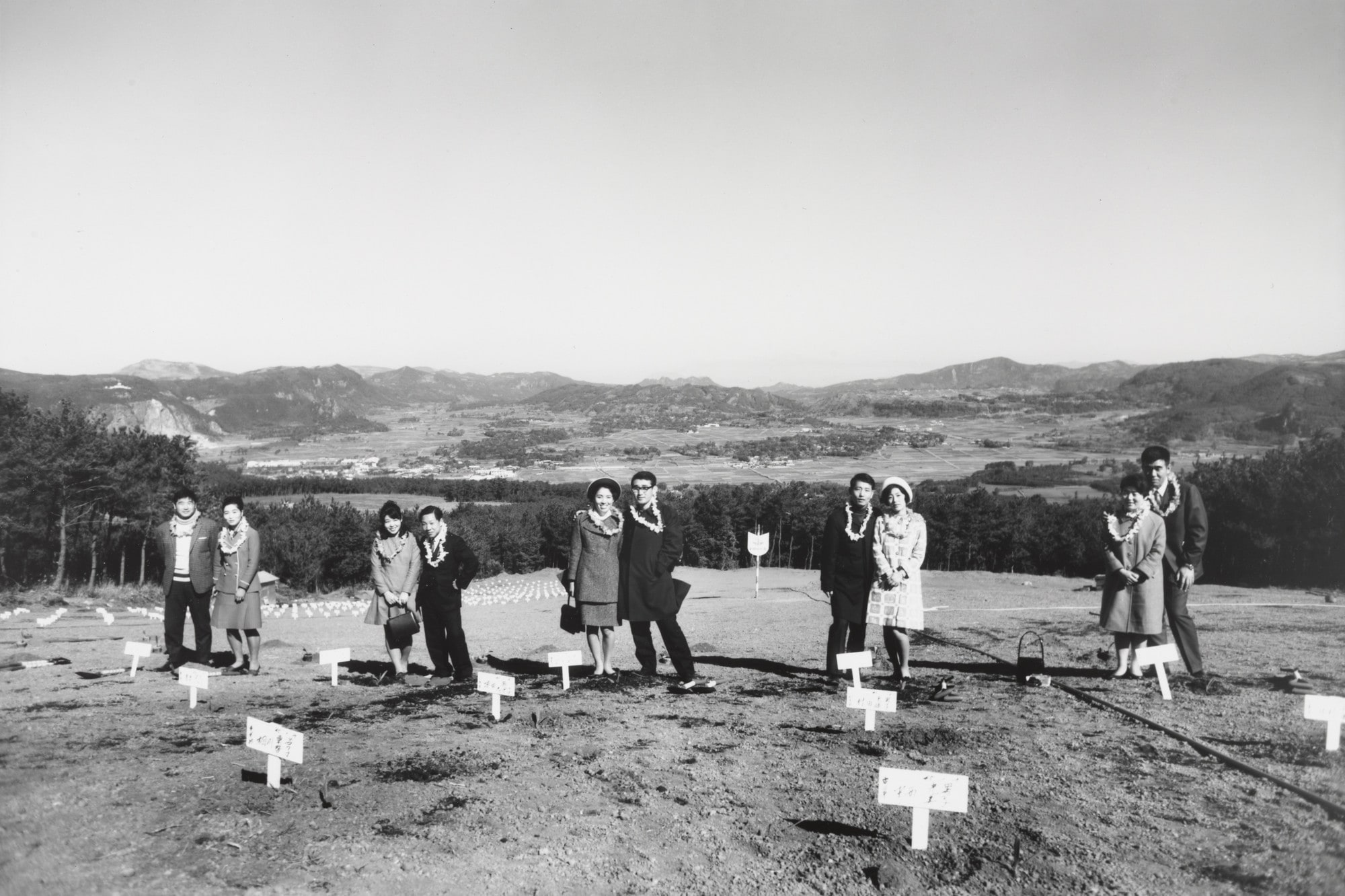 Newlyweds After Planting Memorial Trees on the Slope of a Mountain, Kagoshima