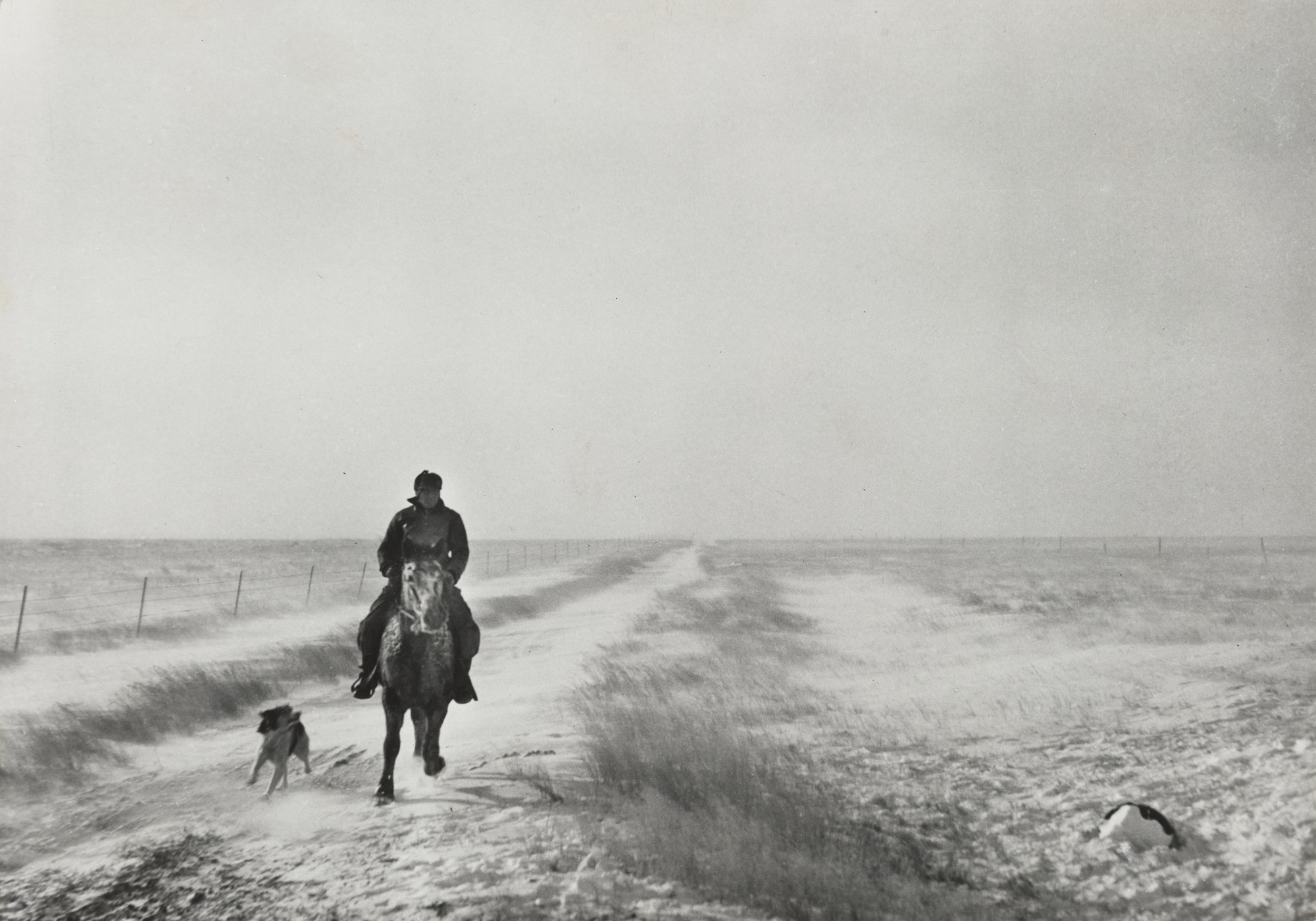 Riding Out to Bring the Cattle, First Stages of Snow Blizzard, Lyman County South Dakota, (Rider in the Snow)