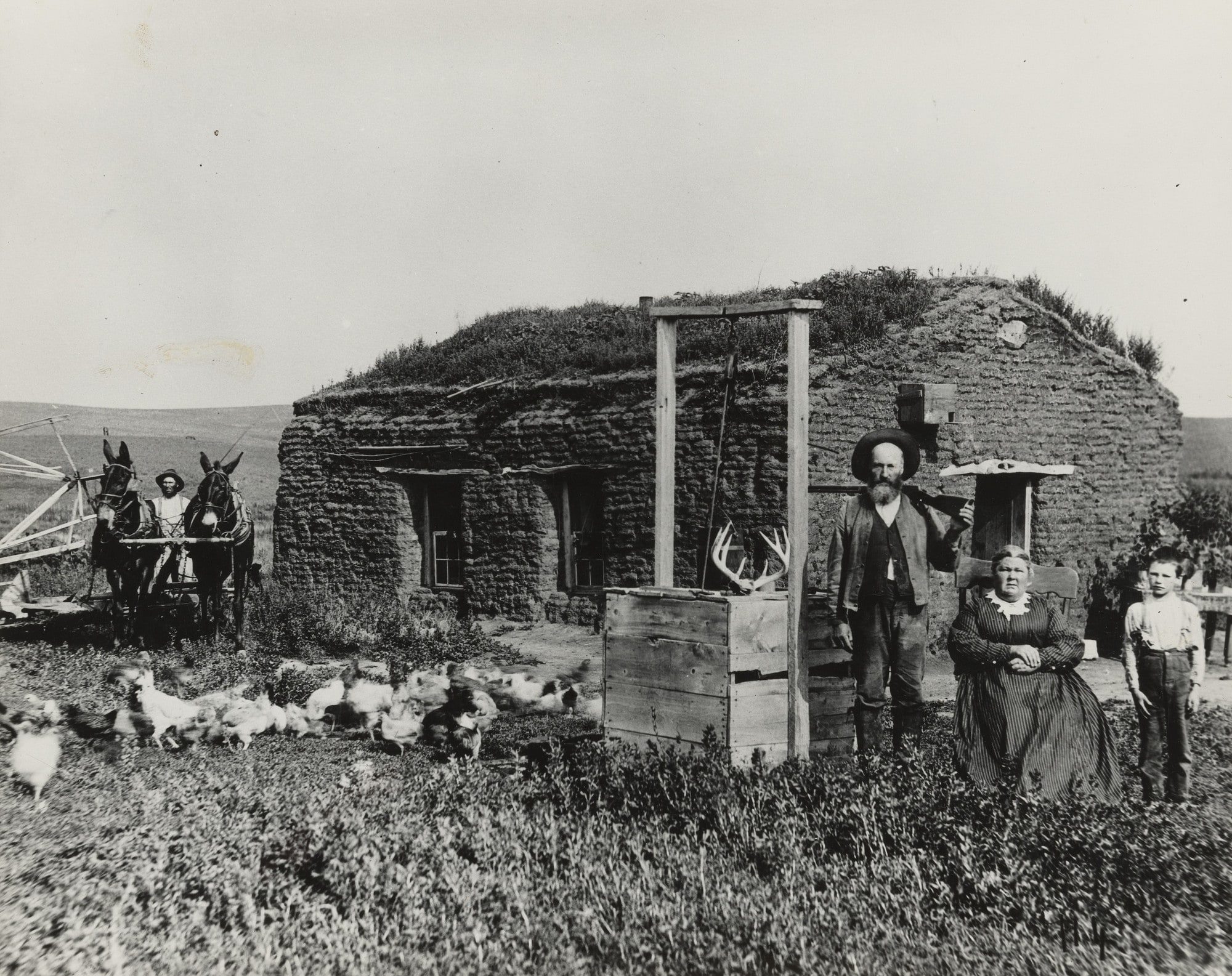 James McCrea Sod Home