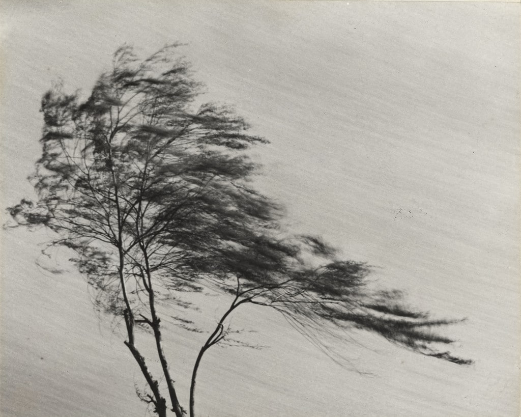Wind