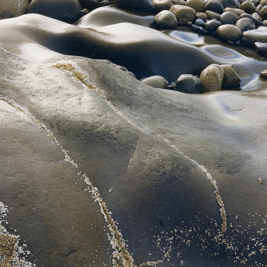 Lanes Island, Earth Eggs