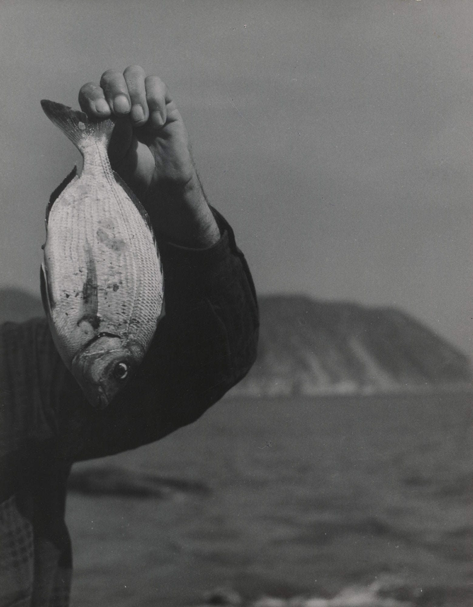White Fish and Arm