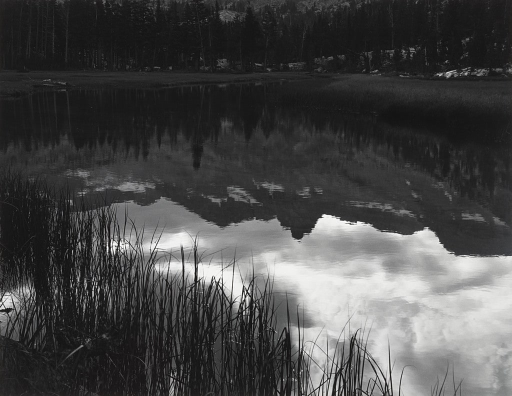 Grass and Reflections in the Lyell Fork of the Merced River, Yosemite National Park, California