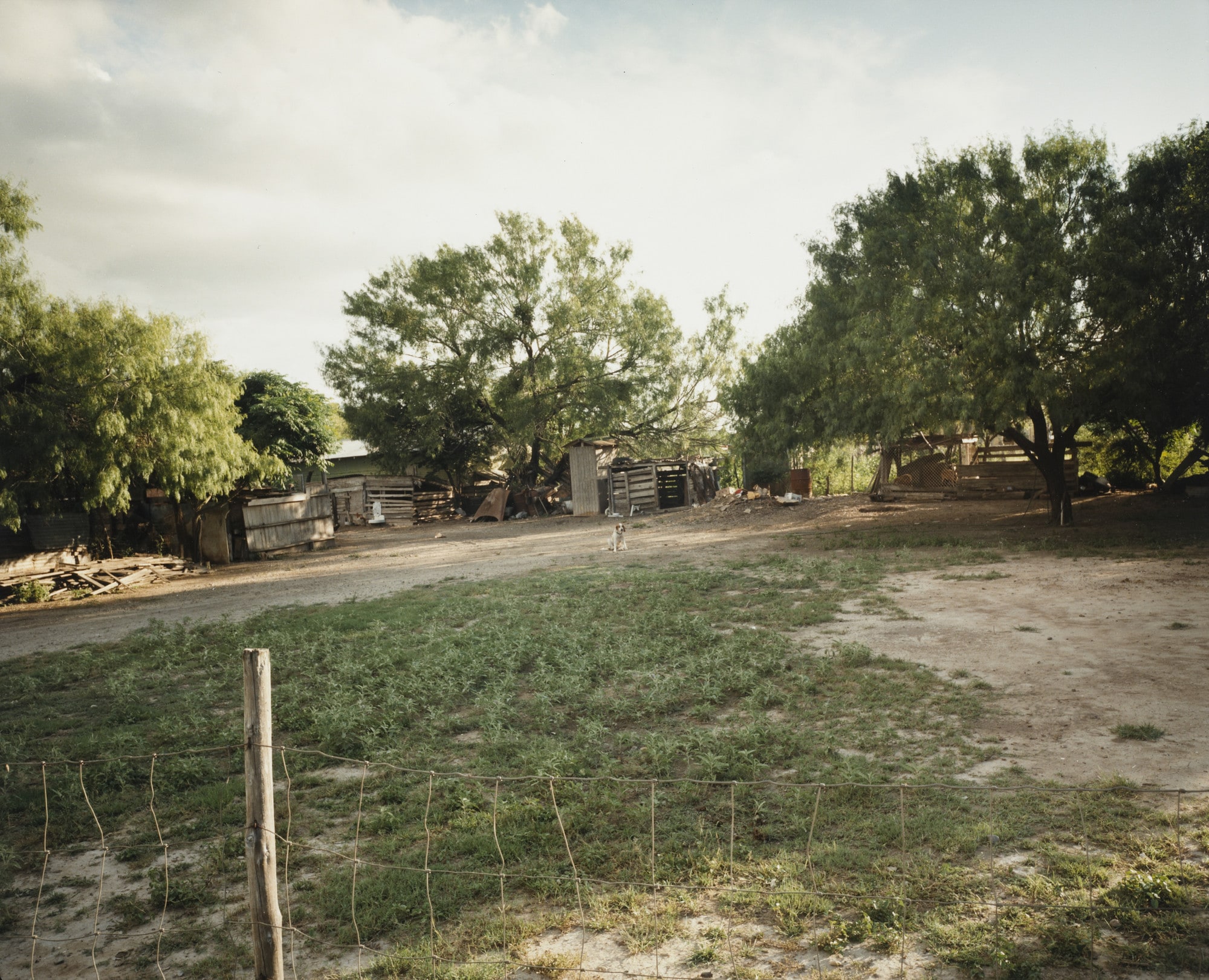 Los Ebanos, Texas
