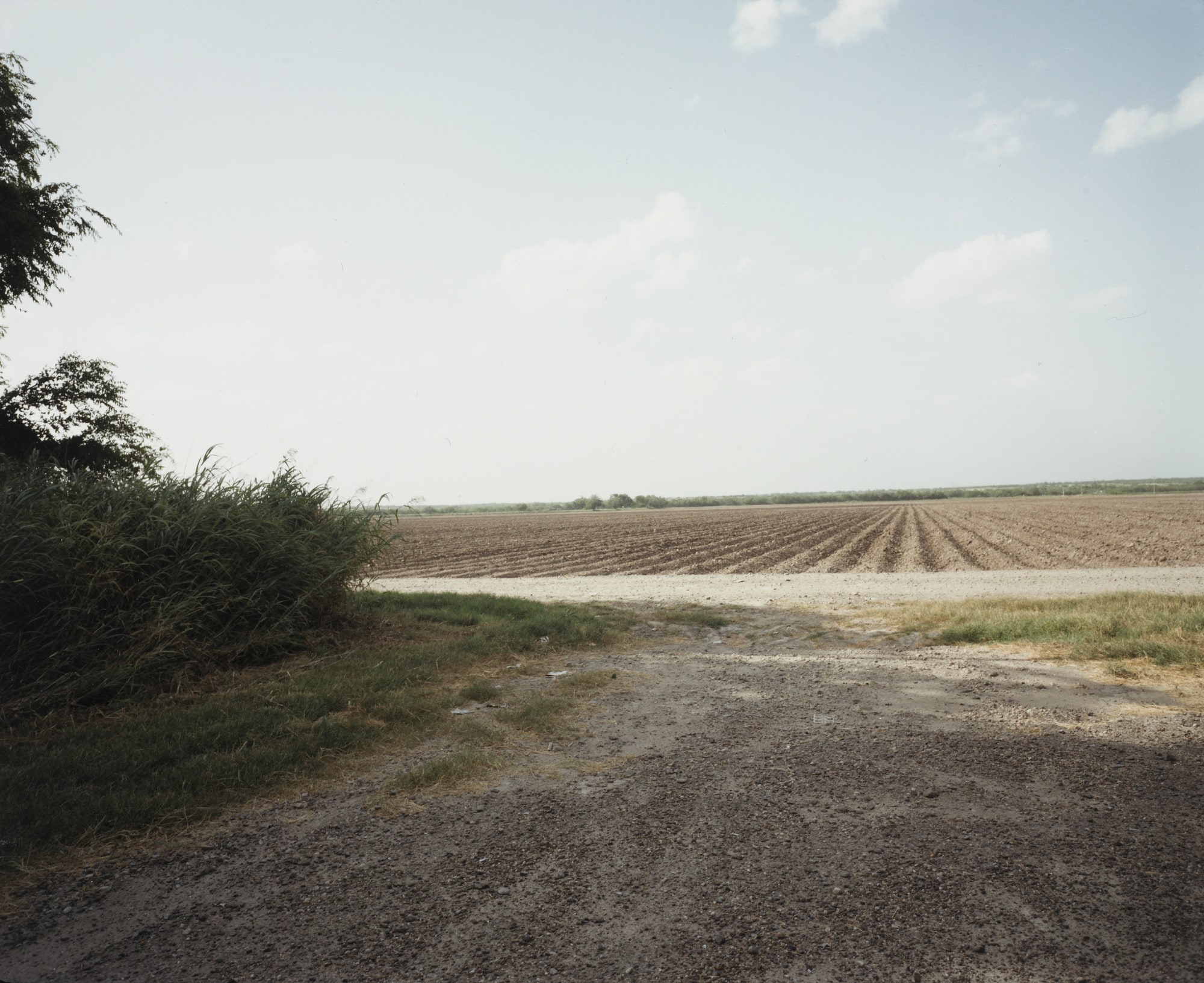 Los Ebanos, Texas