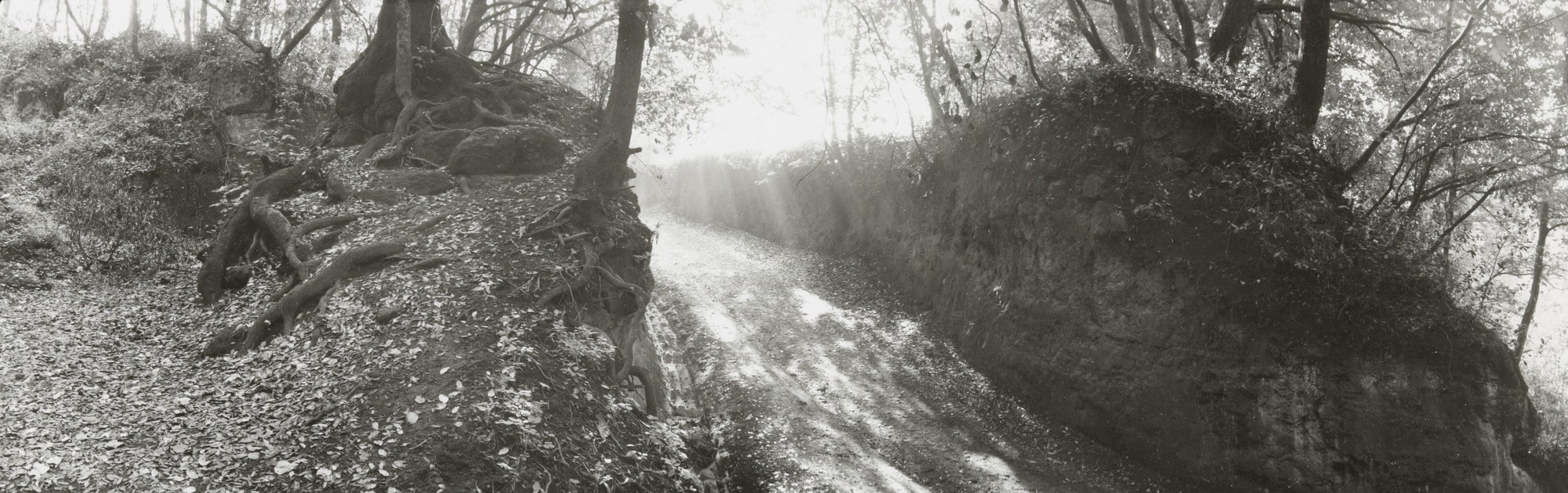 Etruscan Road at Veio