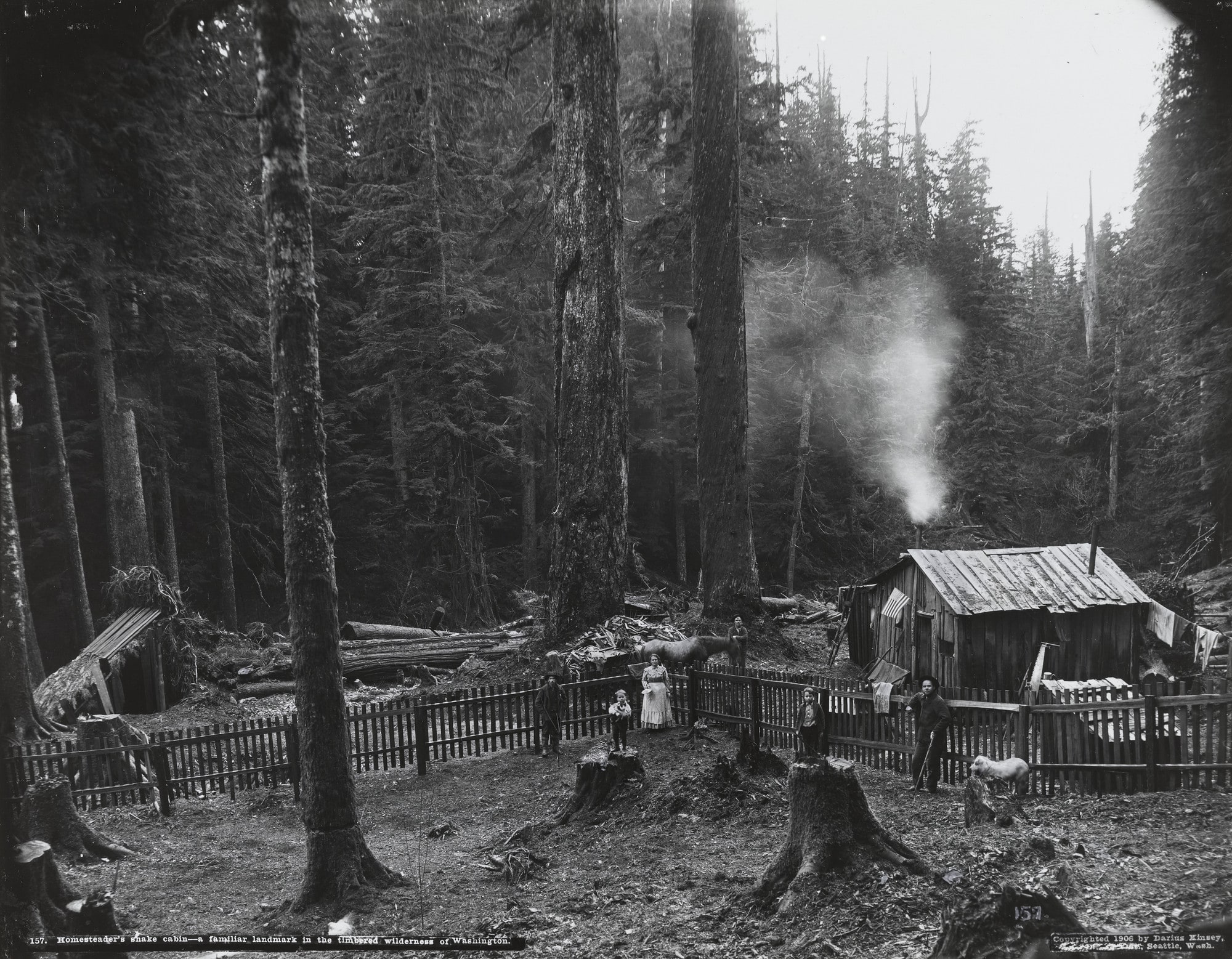 Homesteader's Shake Cabin