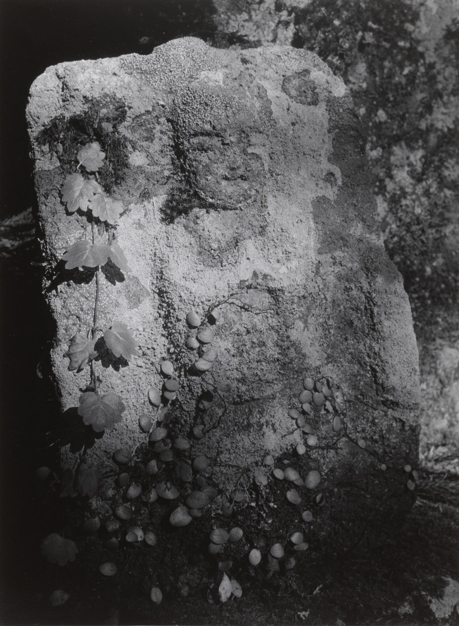 Stone Image of Jizo in the Garden of the Baptistery, The Muro-ji