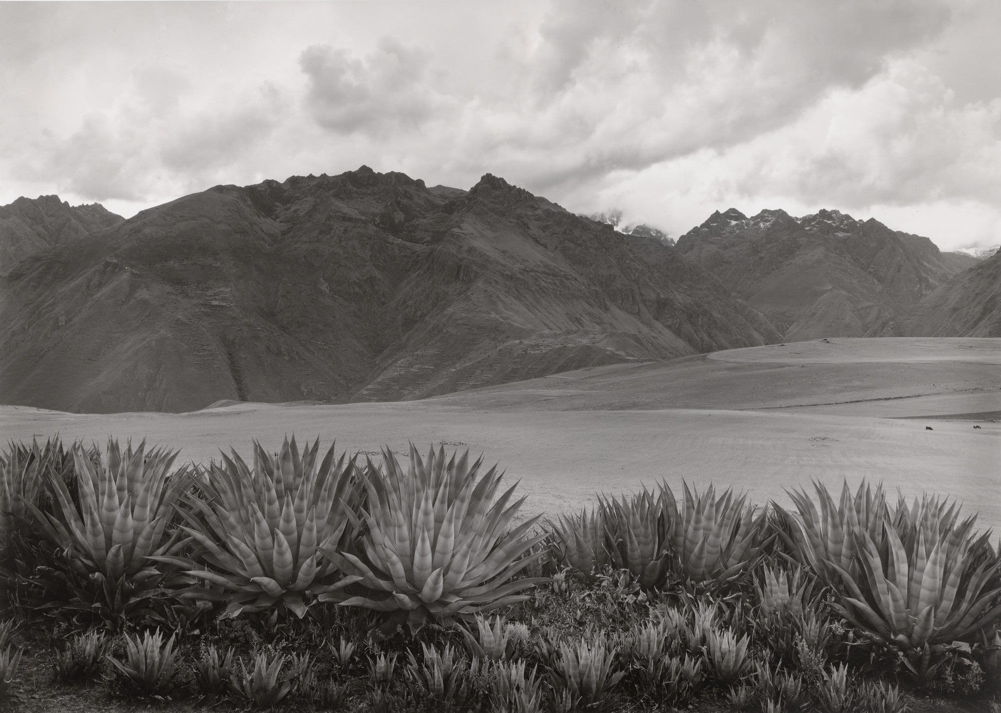 Mars Plain, Peru