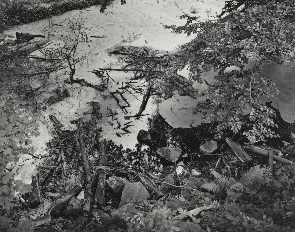 Untitled (Bomb crater/Kortner Sumpf)