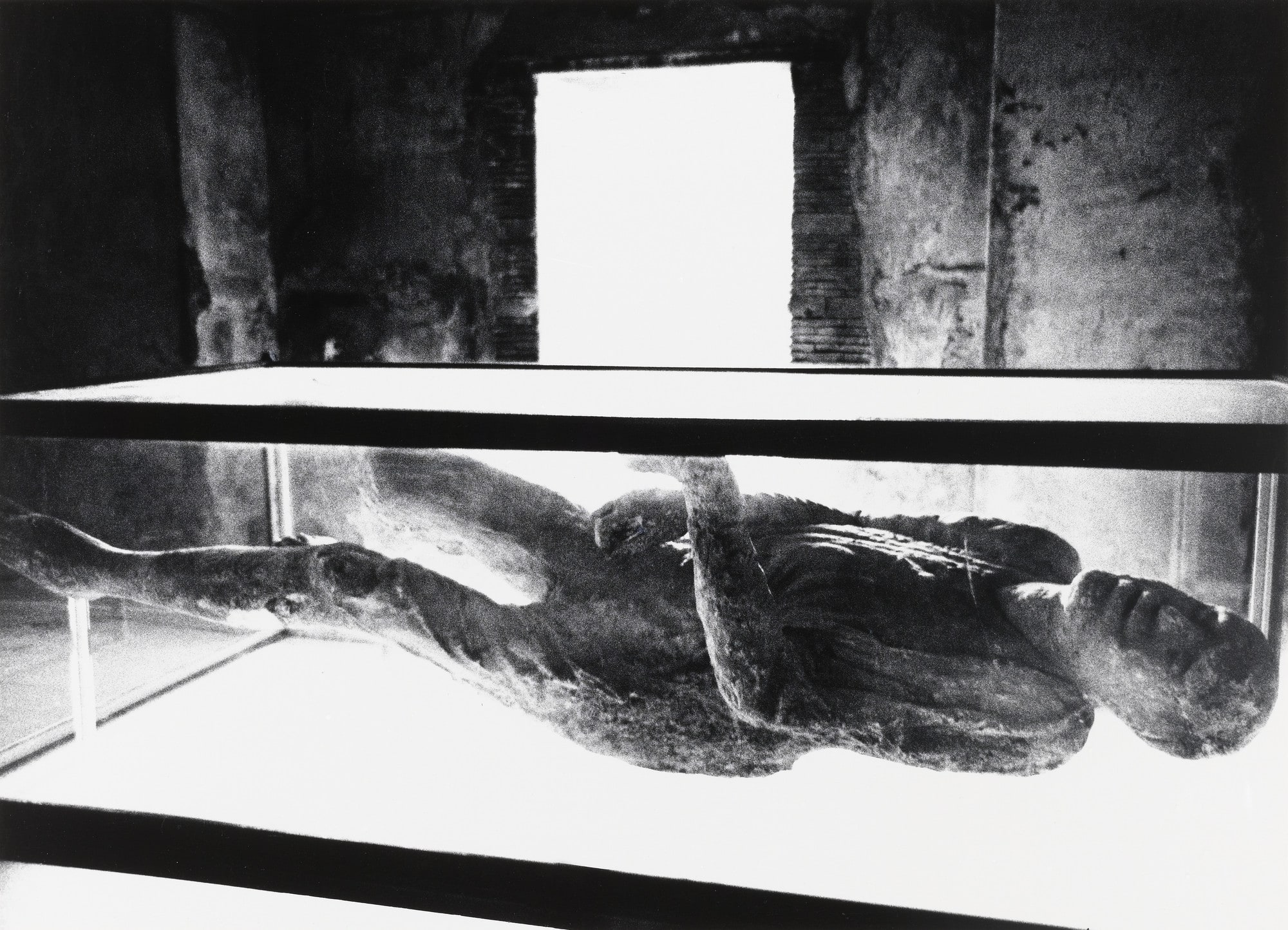 Fossil at Pompeii, Italy