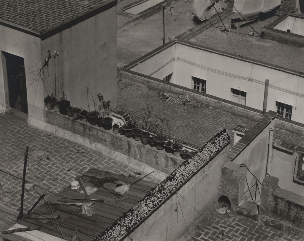 Roofs of Mexico City