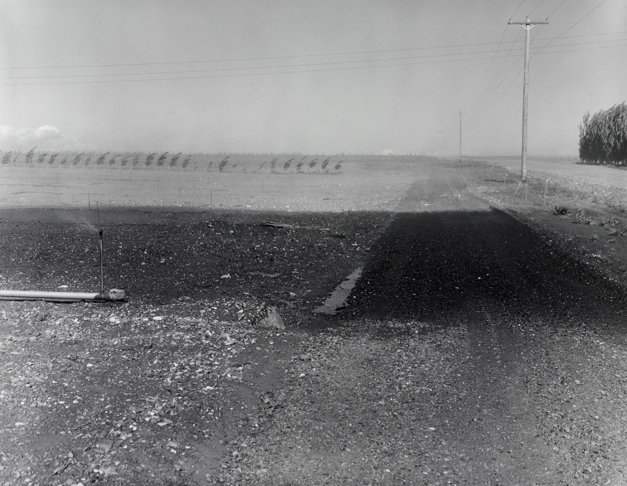 New Orchard under Handline Irrigation, Mattawa, Washington